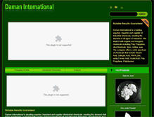 Tablet Screenshot of damaninternational.com